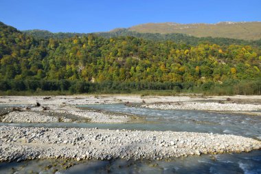  Kuzey Kafkasya 'nın dağlarındaki Cherek Vadisi' nde taşlı, sulu ve vahşi ormanlı bir dağ nehri manzarası.                              