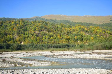 Kuzey Kafkasya 'nın dağlarındaki Cherek Vadisi' nde taşları ve yeşil ağaçları olan hızlı dağ nehri manzarası.                              