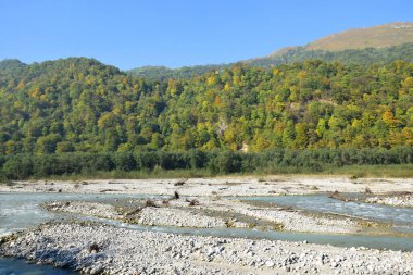 Kuzey Kafkasya 'nın dağlarındaki Cherek Vadisi' nde yeşil ağaçlı ve taşlı mavi suyla hızlı dağ nehrinin panoraması.
