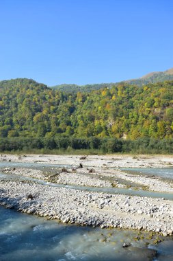 Kuzey Kafkasya dağlarındaki Cherek Vadisi 'ndeki yeşil ağaçlı ve taşlı mavi suyla hızlı dağ nehrinin manzarası.                               