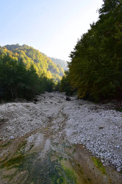 Вид Вечернюю Каменную Горную Реку Камнями Ущелье Черек Горах Северного — стоковое фото