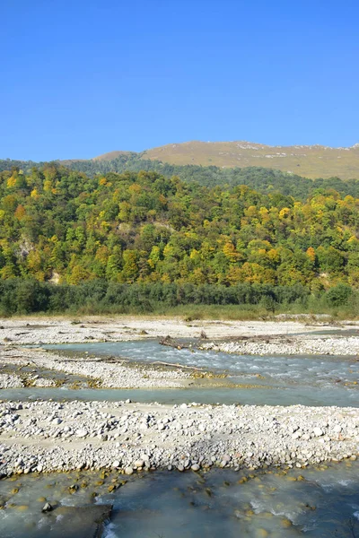 Kilátás Gyors Hegyi Folyóra Kövekkel Hegyekkel Zöld Fákkal Észak Kaukázusi — Stock Fotó