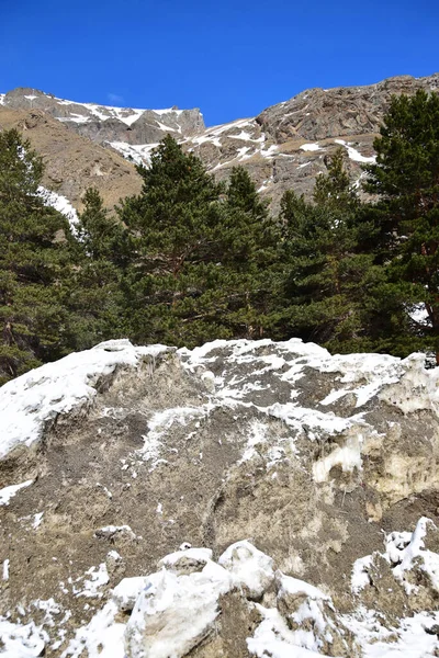 Vista Coníferas Avalanchas Las Montañas Rocosas Pie Del Monte Elbrus — Foto de Stock