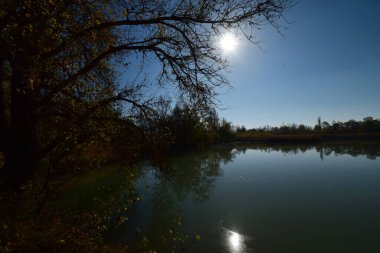  Kuzey Kafkasya 'nın eteklerinde, sonbaharda mavi gökyüzüne karşı ağaçlarla dolu akşam gölü manzarası