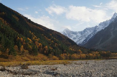 Kuzey Kafkasya 'daki Cherek Bezengi Vadisi' nin yüksek arazilerinde sonbaharda Kafkasya sırtı ve çam kozalaklı ormanın karlı manzarası.