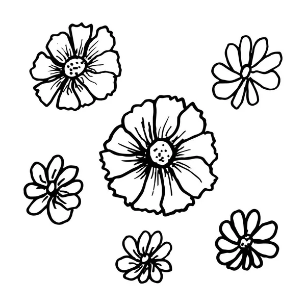 Doodle flores definidas em belo estilo. Projeto de ilustração plana . —  Vetores de Stock