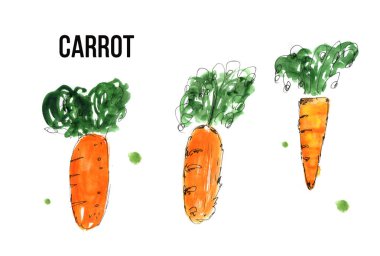 Beyaz arka plan üzerinde havuç seti El çizilmiş suluboya illüstrasyon.