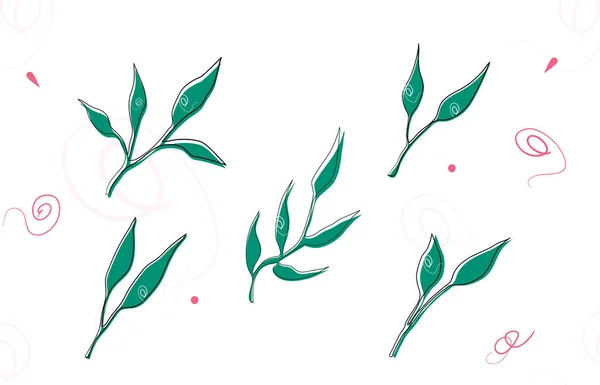 Un conjunto de hojas y ramas vectoriales. Preciosos elementos de diseño para hacer sus propios patrones, laureles y composiciones. Ideal para bodas o invitaciones . — Vector de stock