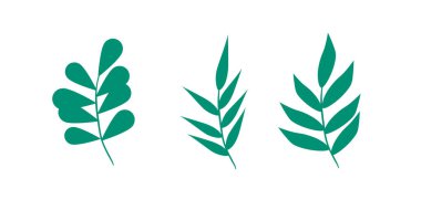 Vektör yaprakları ve dalları kümesi. Güzel tasarım elemanları kendi desenleri, defne ve kompozisyonlar yapmak. Düğün veya davetiyeler için harika.