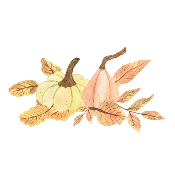 Podzimní skladba s dýněmi. Ilustrace akvarelů. Pozdrav design pohlednice Podzimní sezóna — Stock fotografie