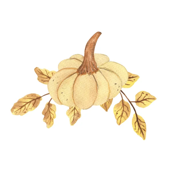 Akvarel Dýně Složení Listy Zelenina Podzimní Sklizeň Ručně Kreslené Akvarel — Stock fotografie