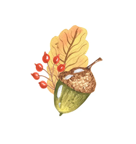 수채류 가을 구성에 acorn.Hand Drawn watercolor illustration.Isolated on the white background. — 스톡 사진