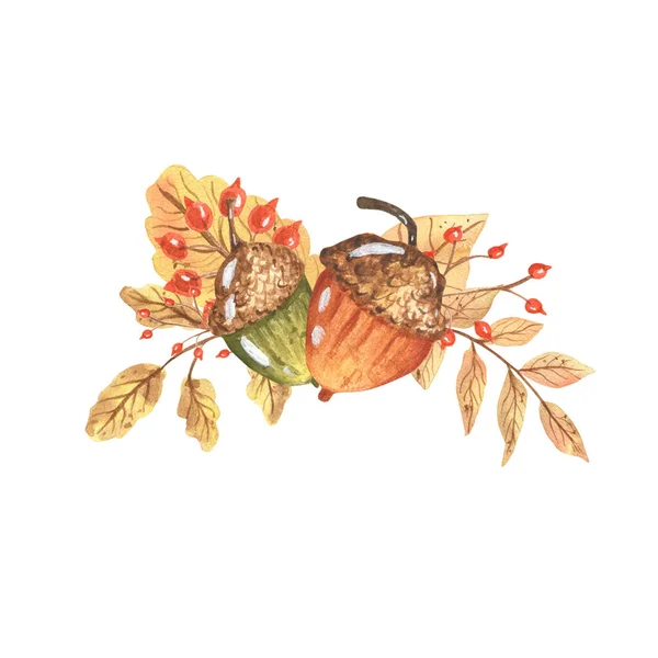 수채류 구성에 Acorn Hand Drawn Watercolor Illustration Isolated White Background — 스톡 사진