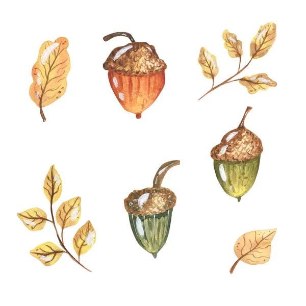 Akvarel Podzimní Kompozice Žaluziem Ručně Kreslené Akvarel Ilustrace Izolované Bílém — Stock fotografie