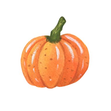 Suluboya taze turuncu balkabağı. Resimler cadılar bayramı. El çizimi suluboya çizimi. Beyaz arka planda izole edilmiş..