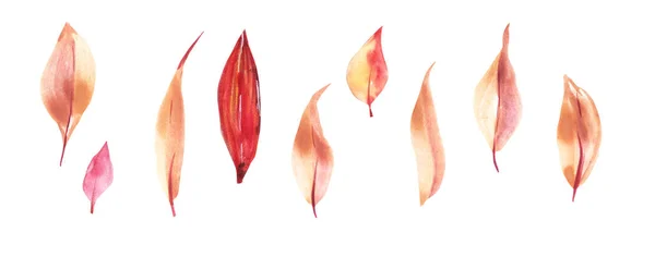 Aquarel herfstblad set. Met de hand getekend aquarel illustratie.Geïsoleerd op een witte achtergrond. — Stockfoto