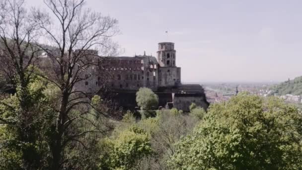 Heidelberský Zámek Zřícenina Jaro — Stock video