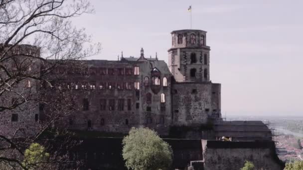 Гейдельбергский Замок Руина Весна — стоковое видео