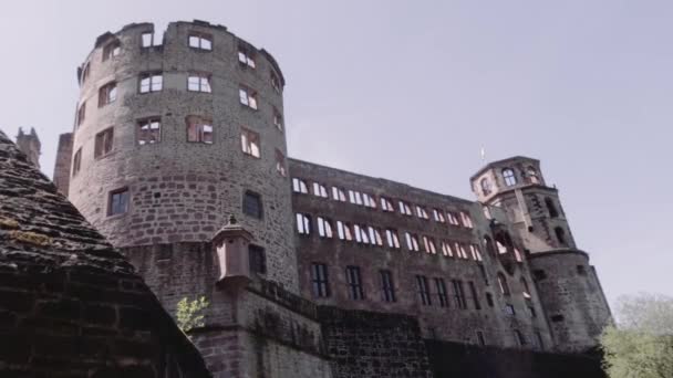 Castelo Heidelberg Ruína Primavera — Vídeo de Stock