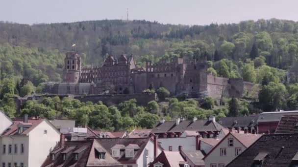 Heidelberský Zámek Zřícenina Jaro — Stock video