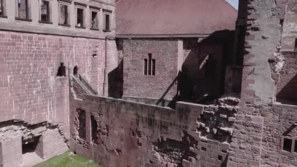 Heidelberg Castle Harabe Bahar — Stok video