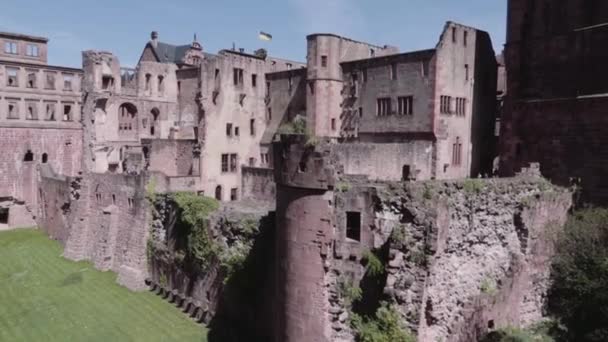 Κάστρο Της Χαϊδελβέργης Ερείπιο Άνοιξη — Αρχείο Βίντεο