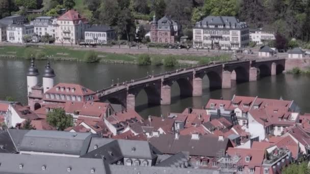 Χαϊδελβέργη Καρλ Τέοντορ Γέφυρα Αεροφωτογραφία — Αρχείο Βίντεο
