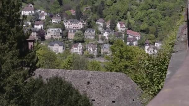 Evler Eski Evleri Heidelberg — Stok video