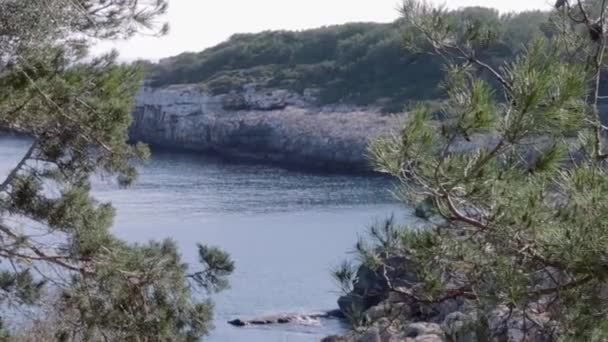 Calo Des Moro Mallorca Yakınındaki Sahil — Stok video