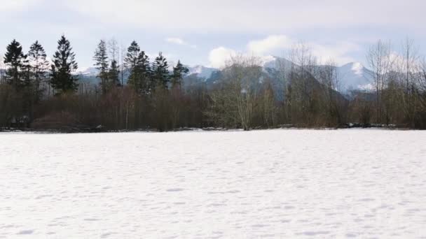 Sneeuwlandschap Volda Noorwegen — Stockvideo