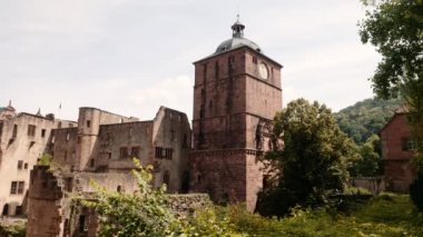 Castle, harabe, Heidelberg, 2018 yaz
