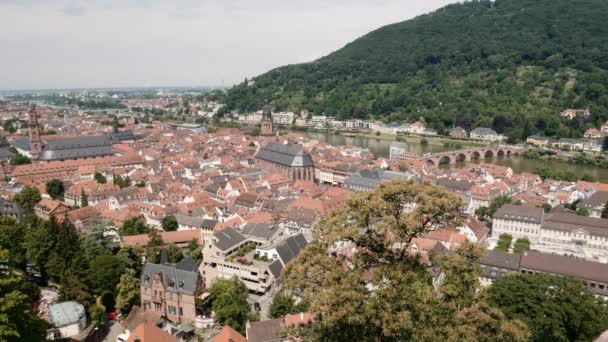 Widok Lotu Ptaka Heidelberg Gród Lato 2018 — Wideo stockowe
