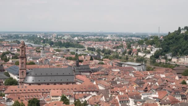 Antena Jesuitenkirche Kościół Jezuitów Zobacz Heidelberg Lato 2018 — Wideo stockowe