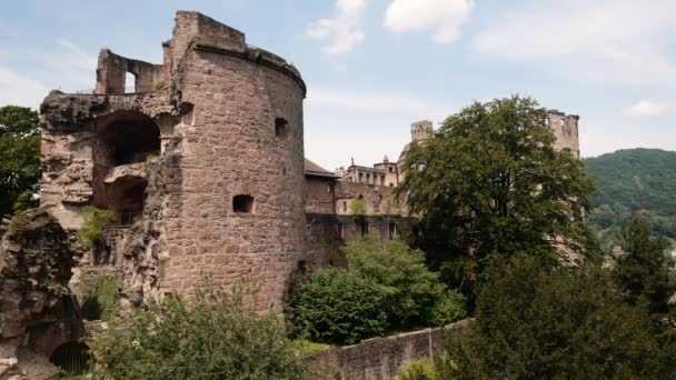 Castillo Ruina Heidelberg Verano 2018 — Vídeo de stock