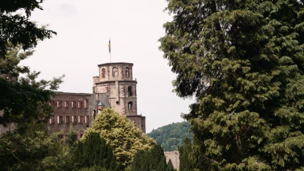 Κάστρο Ερείπια Χαϊδελβέργη Καλοκαίρι 2018 — Αρχείο Βίντεο