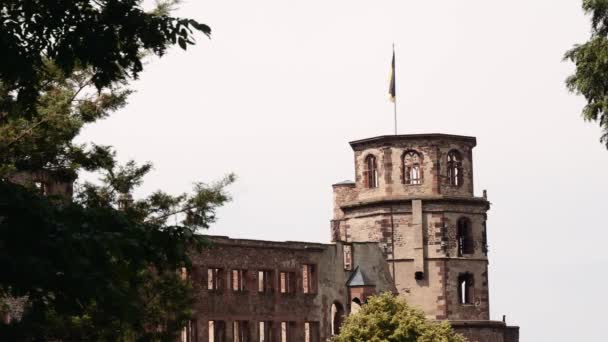 Kasteel Ruïne Heidelberg Zomer Van 2018 — Stockvideo