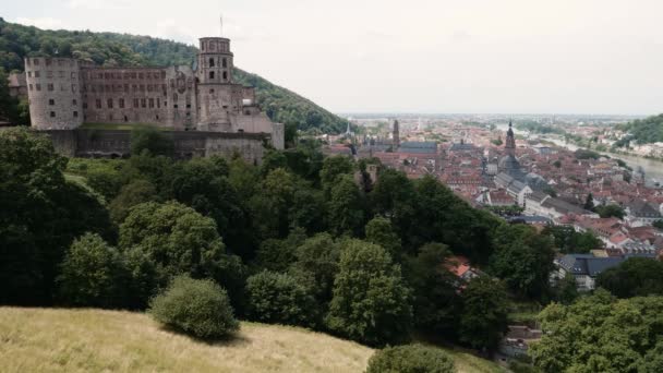 Heidelberg Castle Aerial View City Background Heidelberg Summer 2018 — Stock Video