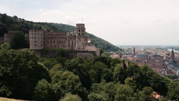 Château Heidelberg Avec Vue Aérienne Ville Arrière Plan Heidelberg Été — Video