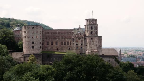 Kasteel Ruïne Heidelberg Zomer Van 2018 — Stockvideo