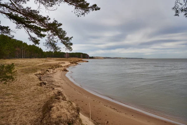 Flèche Kursha Est Une Étroite Longue Bande Sable Forme Sabre — Photo