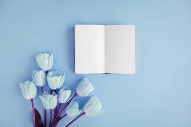 Açılan noteboog güzel çiçekler etrafında. mavi arka plan. Düz yatıyordu stili.