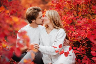 kaç sarılma ve yakın ormanda oturan