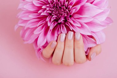 Closeup tırnaklara sahip pembe moda manikür, pembe çiçekler holding götürdü kadın güzel manikürlü eller