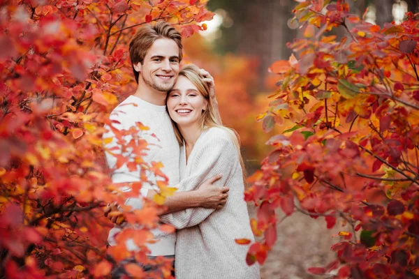 Casal Apaixonado Folhas Outono Floresta — Fotografia de Stock