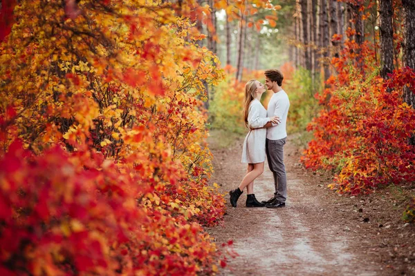 Outono Amor Casal Beijando Parque Outono Homem Feliz Mulher Fora — Fotografia de Stock