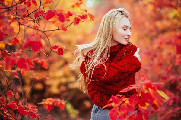 Närbild Porträtt Vacker Flicka Nära Färgglada Höstlöv Vackra Ömhet Modell — Stockfoto