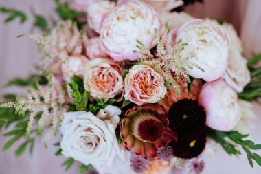 Şirin ve sevimli şakayık. Birçok katmanlı taç yaprakları. Bir demet soluk pembe şakayık çiçekleri açık gri arkaplan.