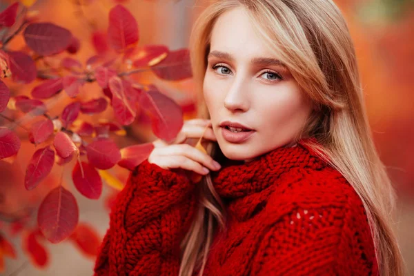 Primer plano retrato de una hermosa chica cerca de coloridas hojas de otoño . — Foto de Stock