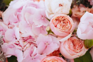 Renkli çiçek ortancaları ve gül