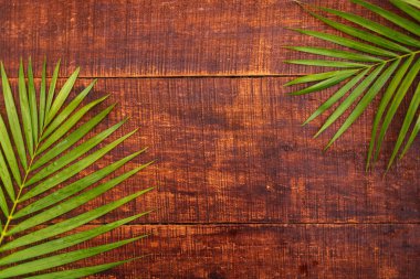 bir ahşap zemin zemin üzerine yeşil palmiye yaprakları